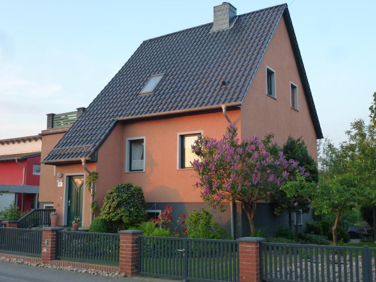 Seeblick Kemnitz Werder  Eksteriør bilde
