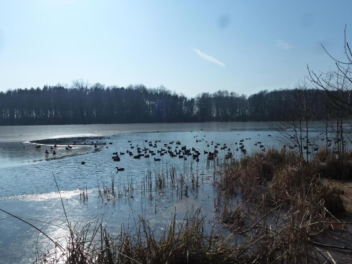 Seeblick Kemnitz Werder  Eksteriør bilde